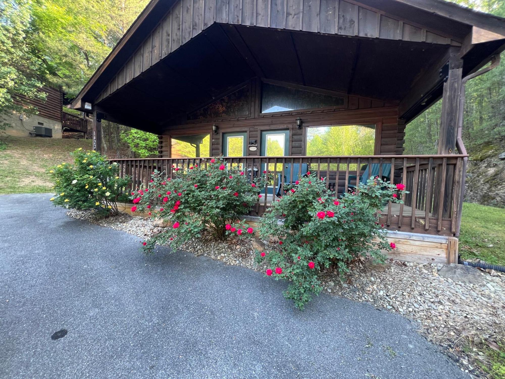 Beary Tale! Your Happily Ever After Starts Here! Sevierville Luaran gambar